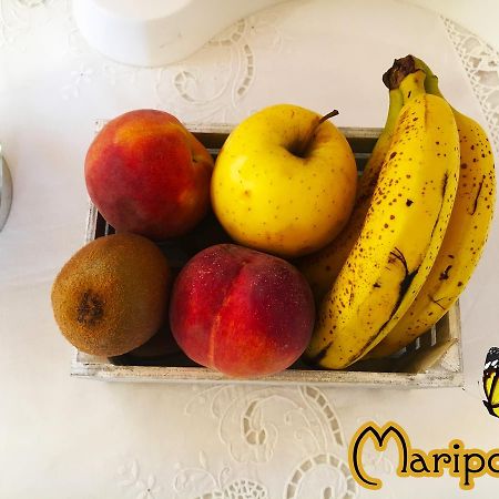 B&B Mariposa Sennori Ngoại thất bức ảnh